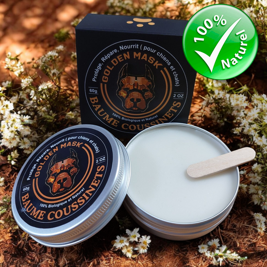 Baume coussinets Golden Mask : boîte et pot ouvert de soin pour les pattes du chien