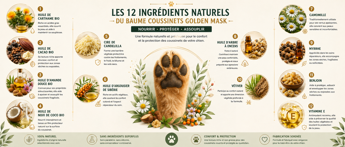 12 ingredients naturels pour les coussinets chiens & chats