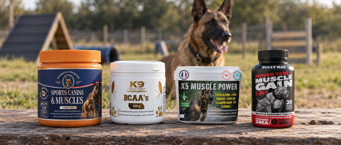Benchmark de compléments musculaires pour chien sportif : Golden Mask Sports Canins & Muscles, K9 Gold Label BCAA’s, X5 Muscle Power et Bully Max Power Tabs.