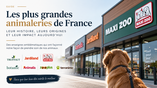 Les plus grandes animaleries de France : Maxi Zoo, Animalis, Zooplus, Jardiland, Truffaut, botanic et Terranimo