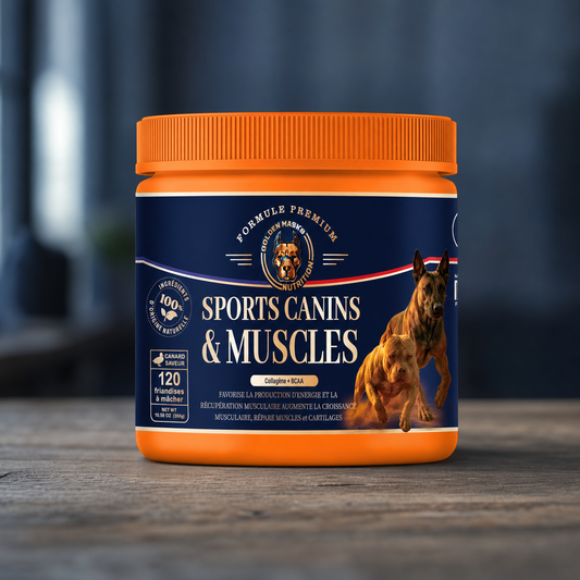 Sports Canins & Muscles – Collagène & BCAA 4.1.1 | Golden Mask