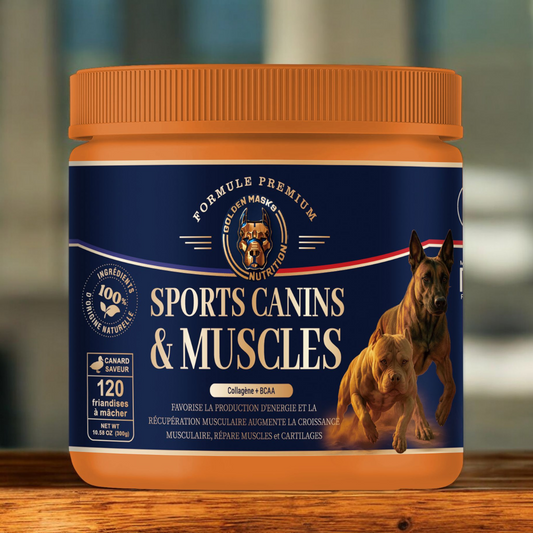 Muscle Builder Chien – Collagène & BCAA 4.1.1 | Golden Mask