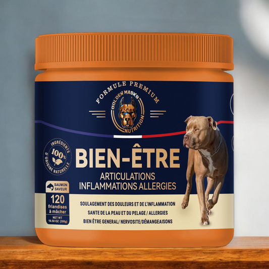 Bien-être articulaire du chien – Peau saine, pelage brillant & confort allergique