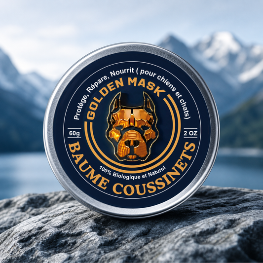 Baume Coussinets Chien – Réparation, Protection & Confort 4 Saisons | 12 Trésors